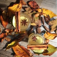 Ginger warmer